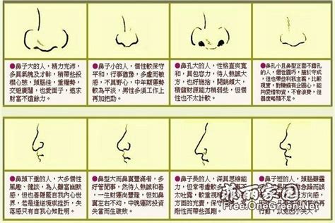 鼻子受傷面相|鼻相分析10款｜鼻樑有節及橫紋、豬膽鼻、鼻頭下垂代 